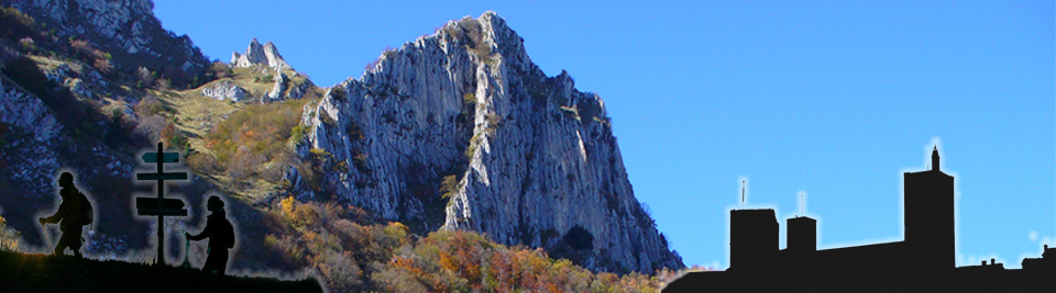 banner1.jpg